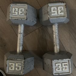 35lbs Dumbbells 