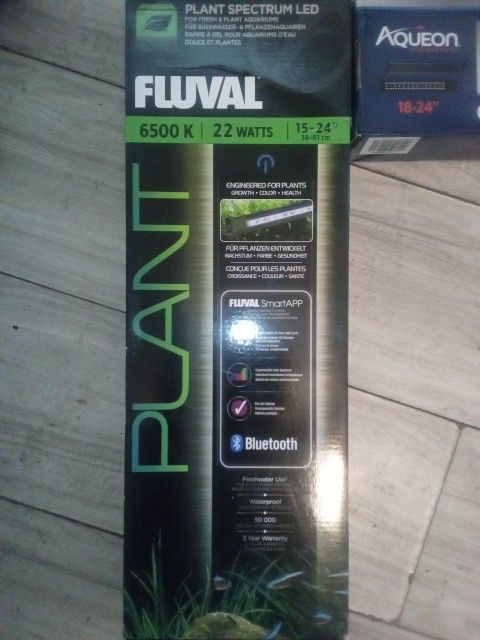 Fish Tank