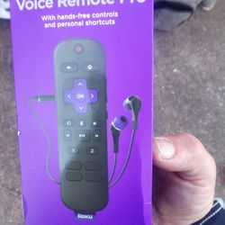 Roku voice remote pro