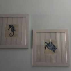 Framed Art - Sea Horse & Sea Turtle