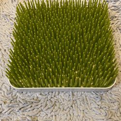 Green Bottle Drying Rack with White Tray