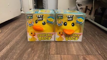 Squishy duck 🐥