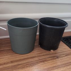 Plastic Plant Containers - FREE