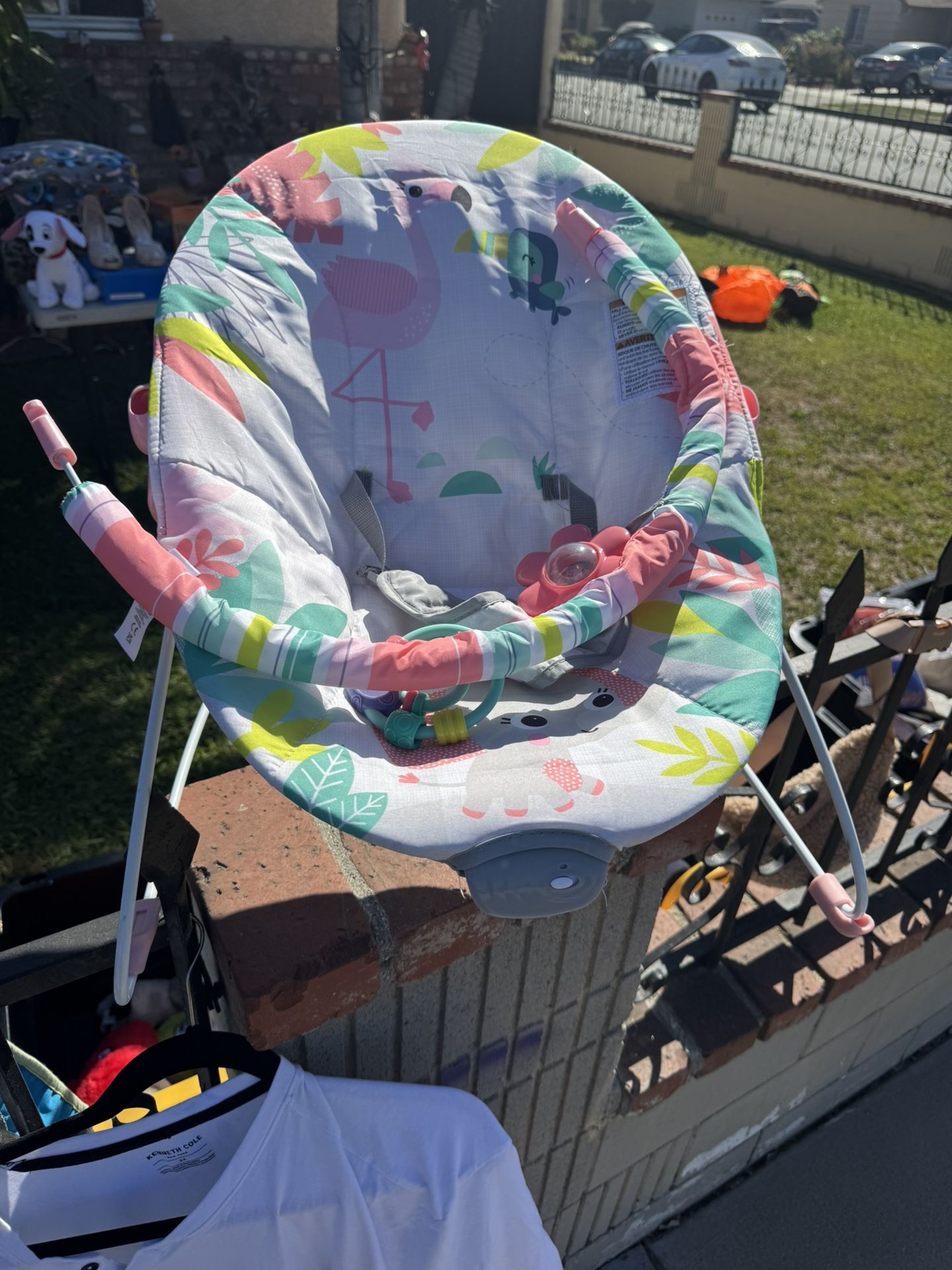 Baby Girl Bouncer 