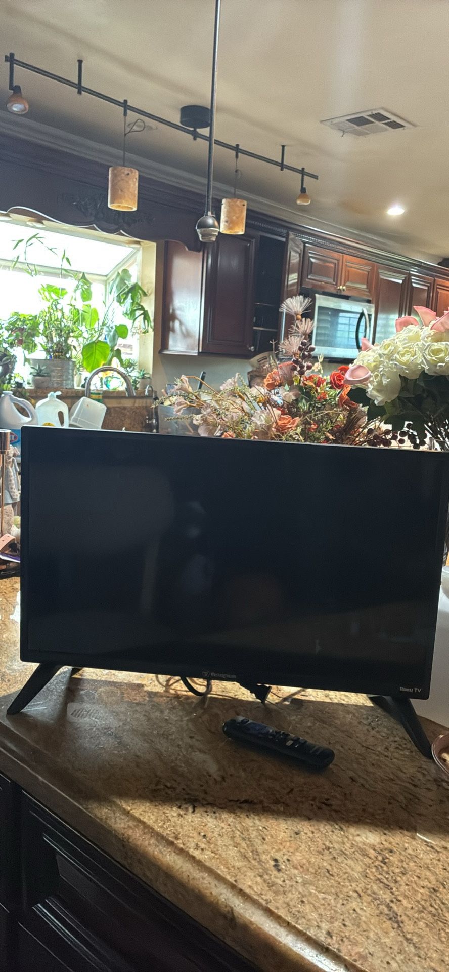 Roku Tv With Control