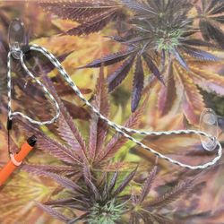 Adjustable Lanyard Pen Keeper Necklaces