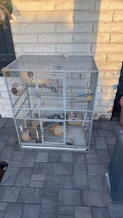 Big bird cage with essentials