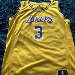 Anthony Davis #3 Lakers Jersey – Youth XL | Fanatics Official NBA Gear