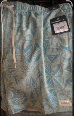 Men’s Shorts X L O’NEILL