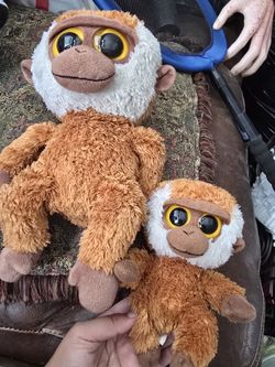 Monkeys Teddy Bear 🧸 