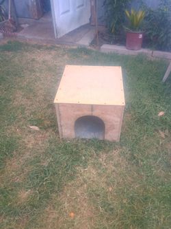 Dog house