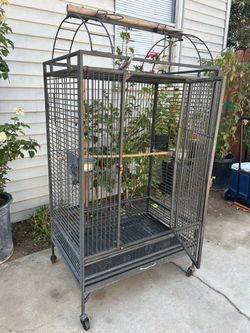 Bird cage / jaula