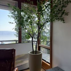 Large Artificial House Plant With Pot 