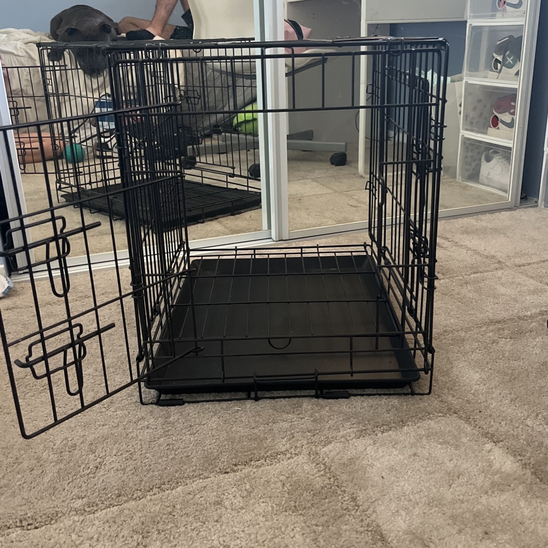 Petsmart dog  kennel 