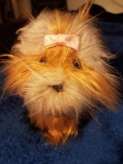 American girl dog Sugar