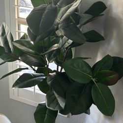 Artificial Indoor Plant 