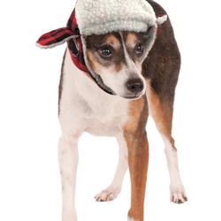 Rubie’s Pet Shop Cute Boutique Halloween Dog Hat - Trapper  Size S/M