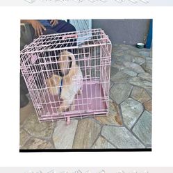 season role Tough Metal Dog Crates - Dependable and Secure