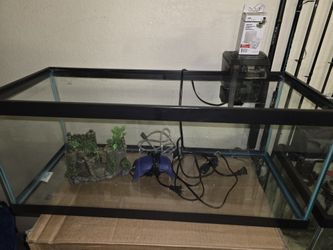 20 Gallon Long Aquarium 