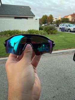 Oakley Glasses