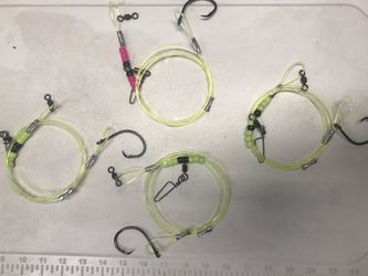 Fishing Bull Red Leaders