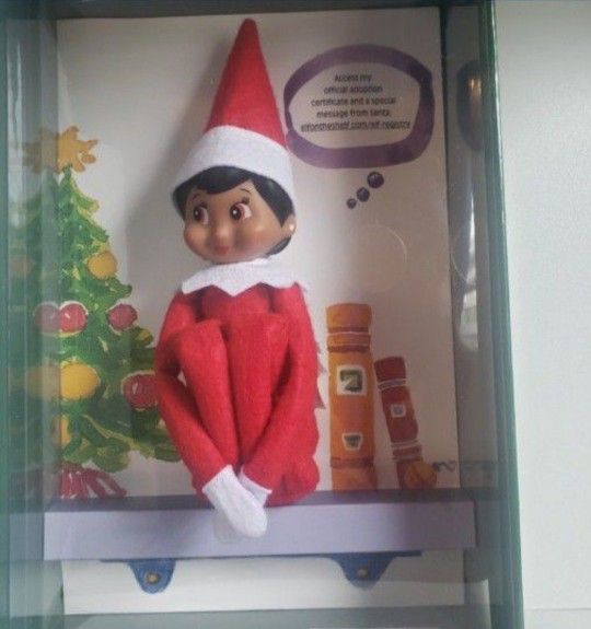 Elf On The Shelf 'BROWN EYED GIRL' Scout