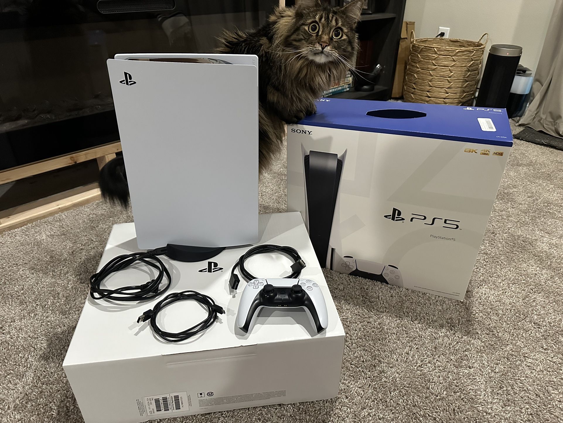 PS5 (825GB, Used)