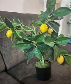 Artificial potted plant with 5 lemons