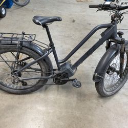 Fast Ebikes 