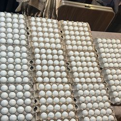 Kirkland Signature Performance Plus Golf Balls