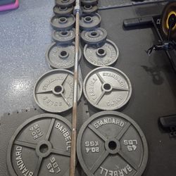 Olympic Size Weight Plates Weightlift Excercise Workout Bench Press Bar 45lb 35lb 25lbs 2 Inch Hole Plates 