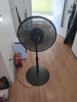Fan