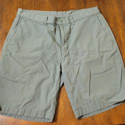 Patagonia Shorts