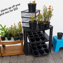 $20 for any TWO patio porch plant cart stands planter gardening