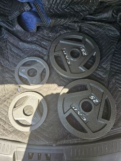60lbs Olympic 2" weights