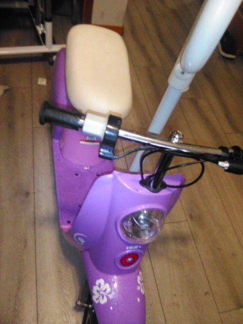 Razor Electric Kids Scooter
