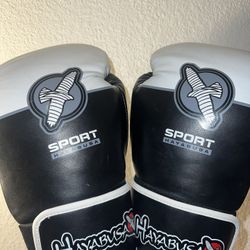 Sport Hayabusa Gloves