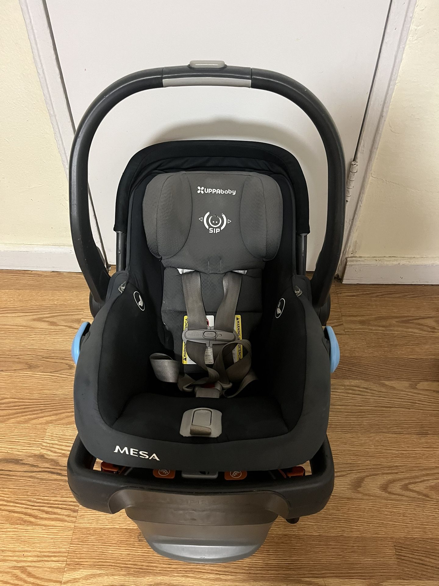 UPPAbaby Mesa V2 Infant Car Seat