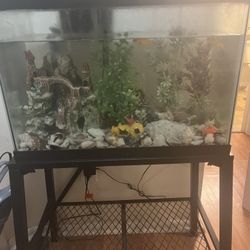 Fish Tank