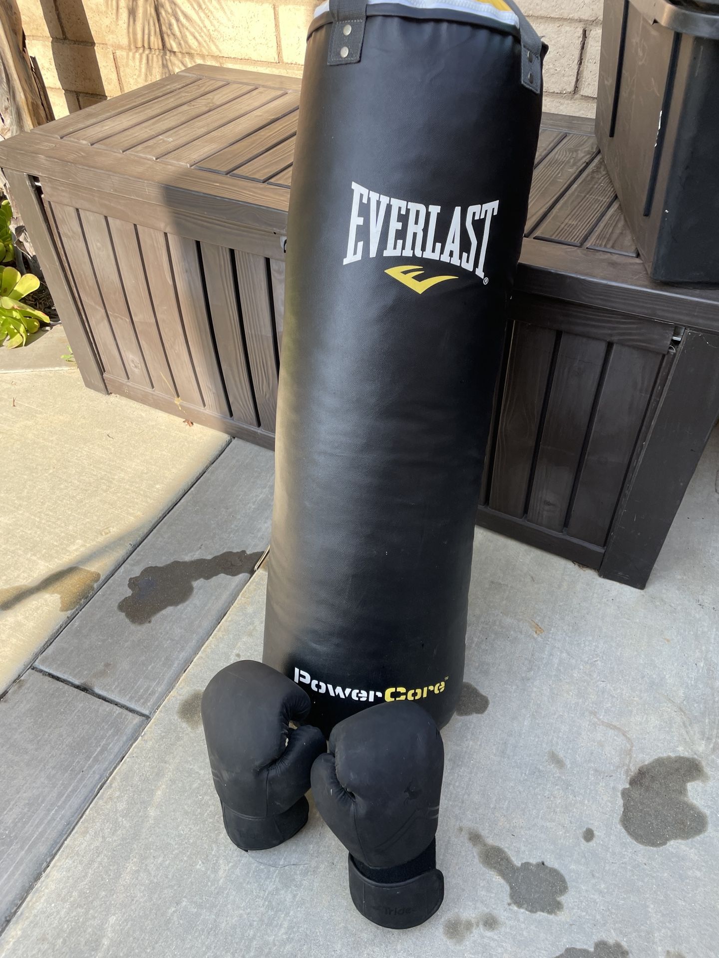 Punching Bag & Gloves 