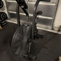 Rogue Echo Bike Version 3 