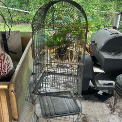 Bird Cage