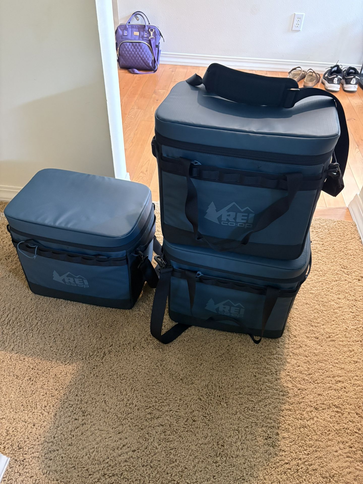 REI Cooler