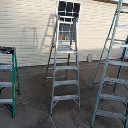 Werner 6ft Ladder