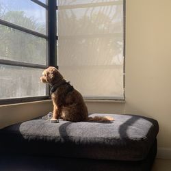 Huge Sectional Couch - Charcoal Color Only 2 Years Old In Mint Condition With Large Ottoman