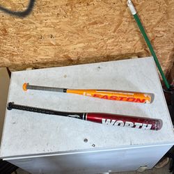 Bats
