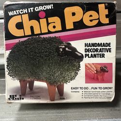 Chia Pet