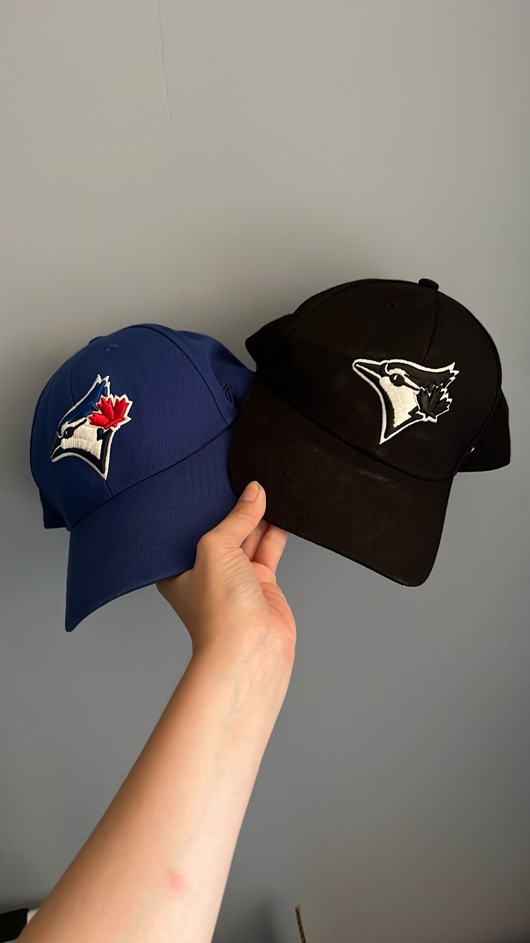 Blue Jays Hat
