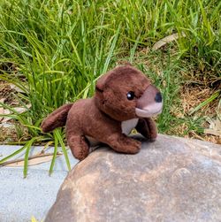 National Geographic Kids Small Plush Eurasian Otter Stuffed Animal Toy EUC