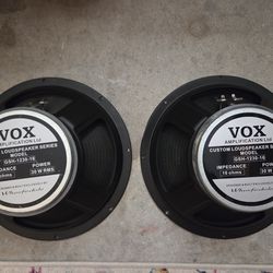 Guitar Speakers 12"